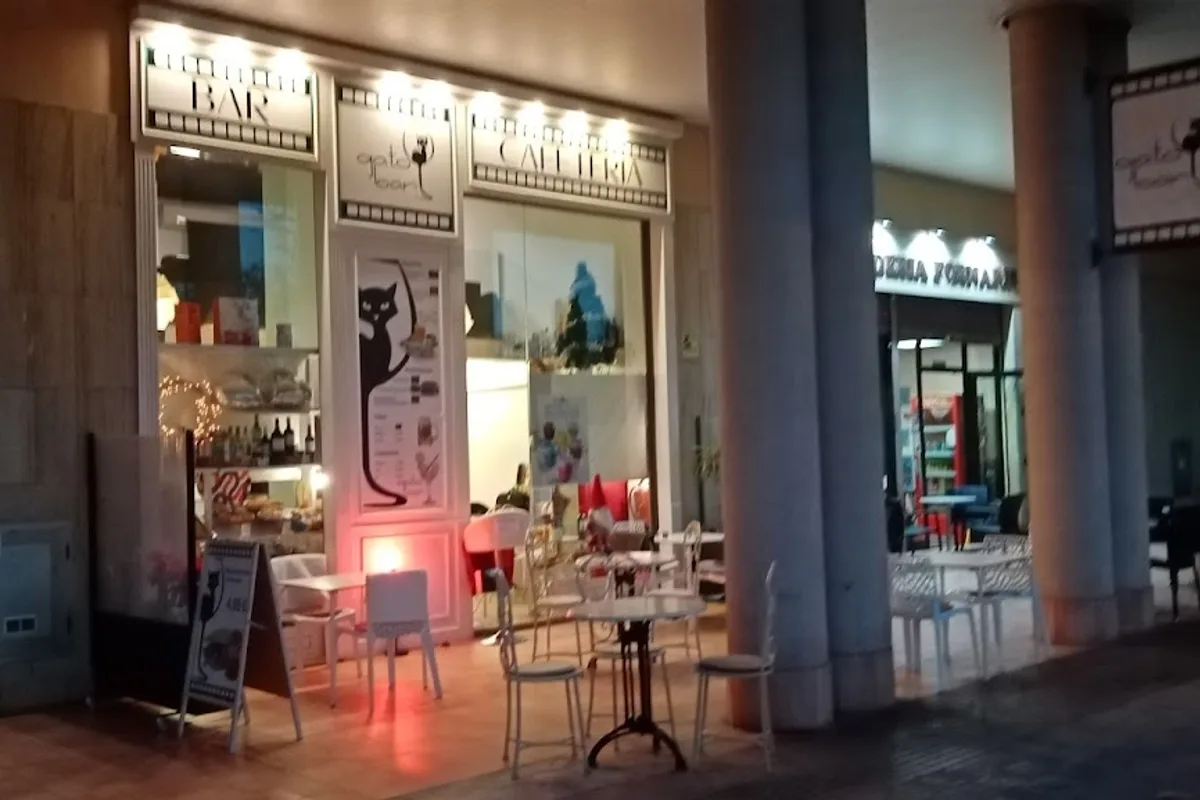 GATO BAR
