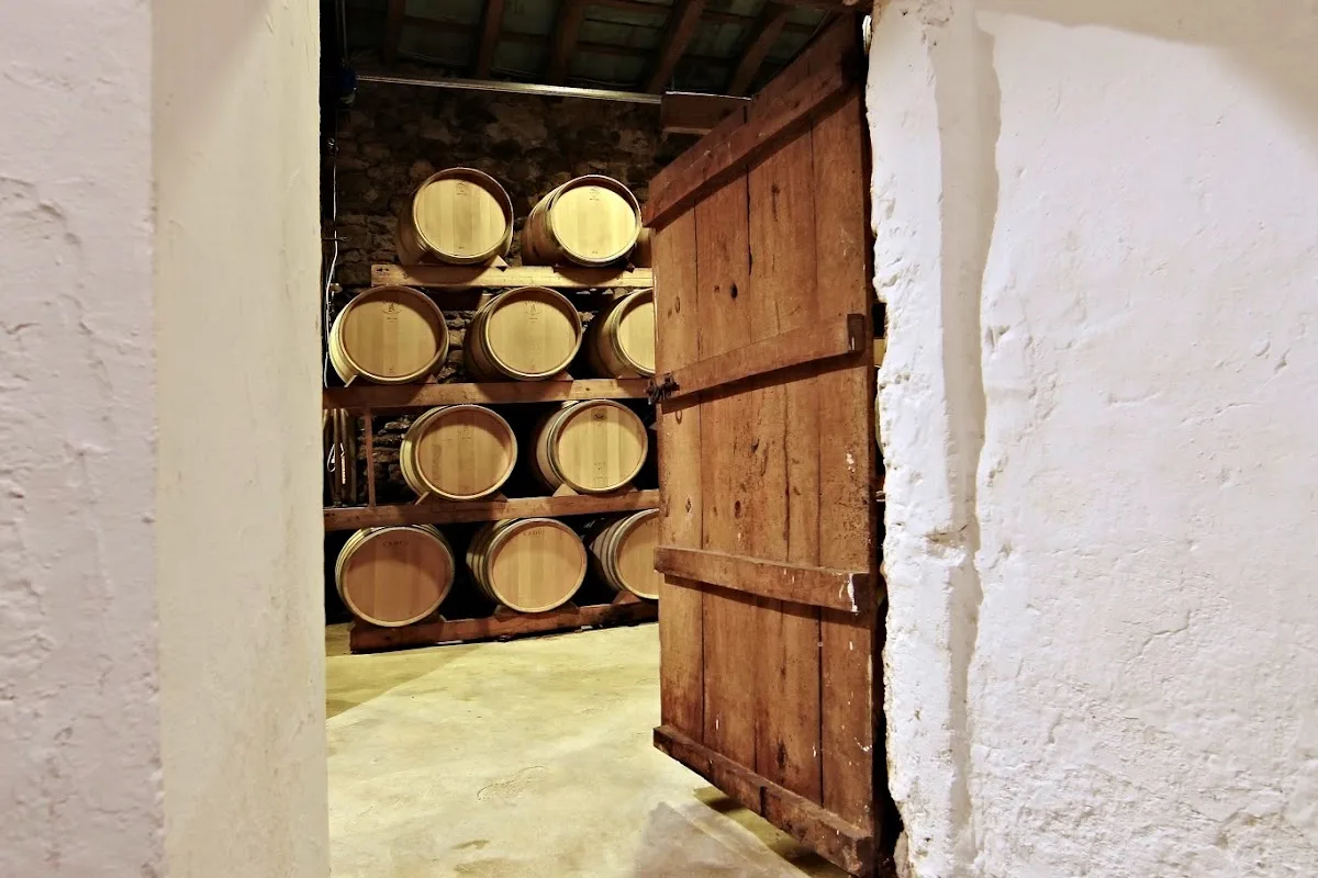 BODEGA RIBAS
