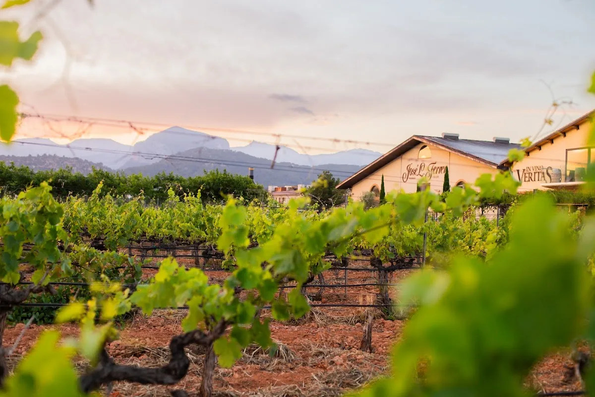 BODEGAS JOSÉ L. FERRER